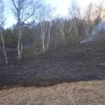 На Алтае из-за отдыхающих сгорел огромный участок леса