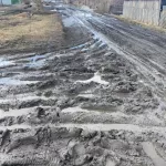Жители алтайского села пожаловались на непроходимое болото вместо улицы