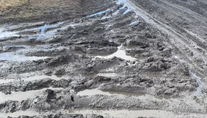 Жители алтайского села пожаловались на непроходимое болото вместо улицы