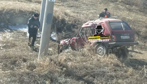 В Алтайском крае Нива столкнулась с поездом – погиб пенсионер