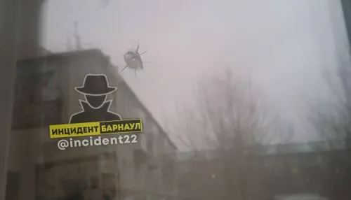 Жительнице Барнаула расстреляли окно, но полиция отказалась возбуждать дело