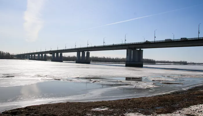 Тепло до +14 градусов ожидается в Алтайском крае: прогноз на ближайшие дни