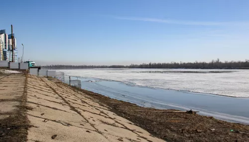 Тепло до +12 градусов прогнозируют в Алтайском крае 24 марта