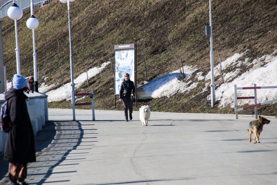 Обь. Барнаул. Весна