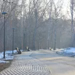 В Барнауле проверят, как перезимовали благоустроенные по нацпроекту зеленые зоны