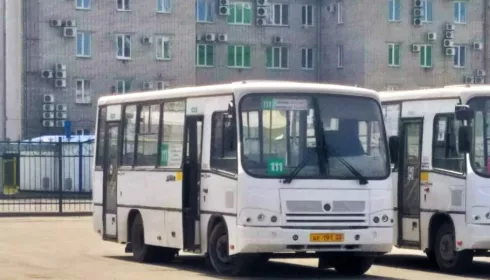 Барнаульцы вновь жалуются на водителей общественного транспорта