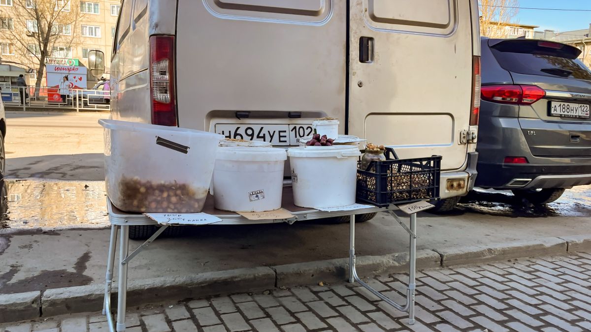 Уличная торговля. Барнаул. Весна 