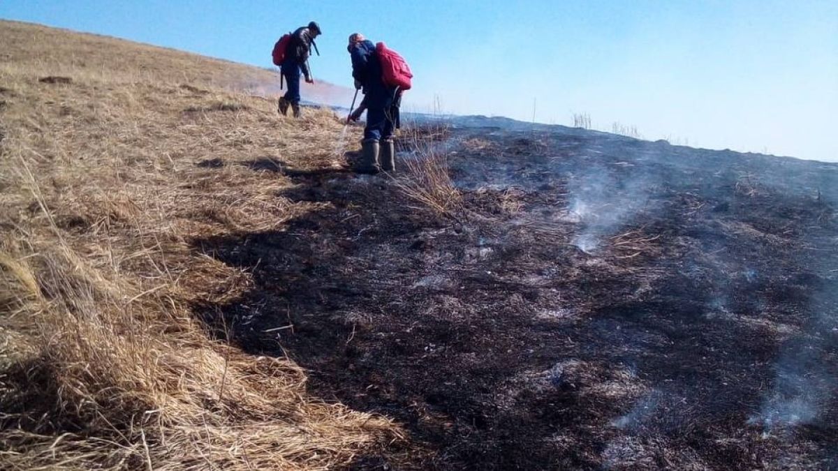 Пожар в Солонешенском районе