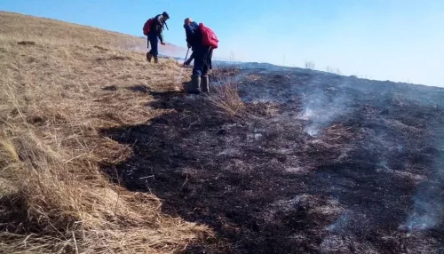 В Алтайском крае из-за небрежности жителей загорелось 10 гектаров пасеки