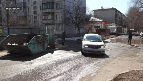 Большой мусорный бак держит в страхе жителей Индустриального района Барнаула