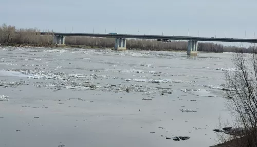 Барнаульцы караулят ледоход и наблюдают плывущие льдины в районе Нового моста