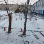 Барнаул проснулся в снегу и с наступившим похолоданием