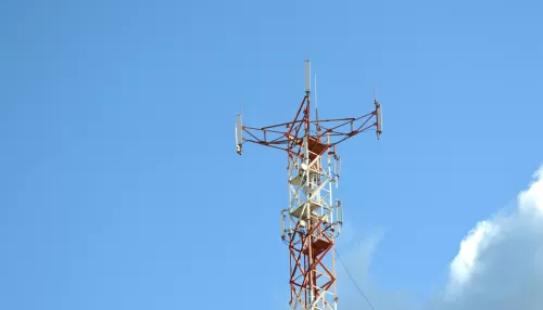 Жители алтайского села взбунтовались против вышки сотовой связи