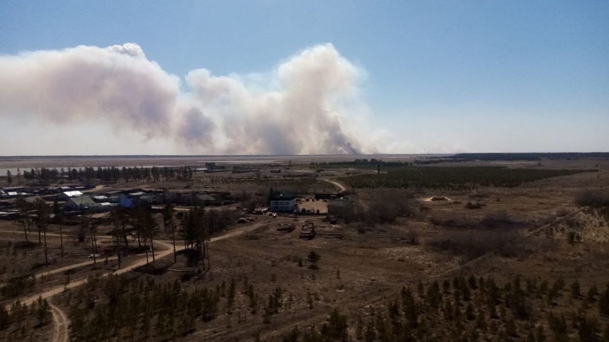 На село Бастан в Михайловском районе надвигается огонь со стороны  Казахстана | 13.04.2023 | Барнаул - БезФормата