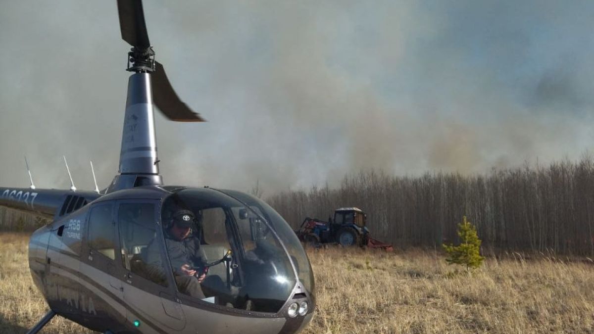 Лесной пожар в Михайловском районе