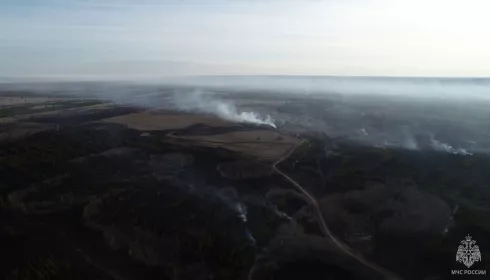 В Михайловском районе локализовали масштабный лесной пожар