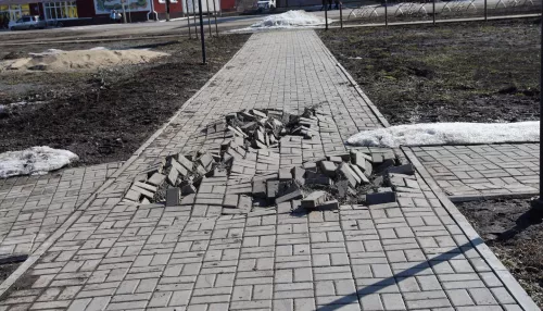 Алтайский чиновник признал свою вину в разрушении дорожки в парке
