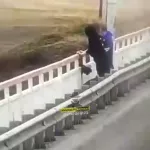 Два подростка в Алтайском крае скинули собаку с моста