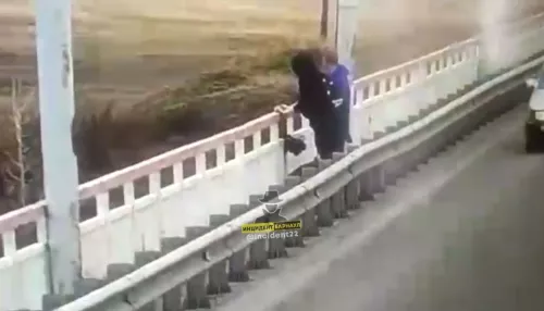 Два подростка в Алтайском крае скинули собаку с моста