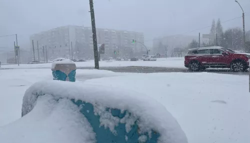 Барнаул накрыл завораживающий апрельский снегопад. Фото