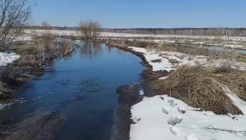 В Алтайском крае пруд вышел из берегов и грозит подтопить деревню