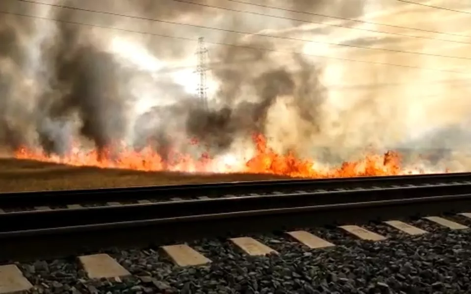 В Панкрушихинском районе потушили сильный пожар около ленточного бора