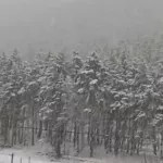 На Горный Алтай в конце апреля обрушился мощный снегопад