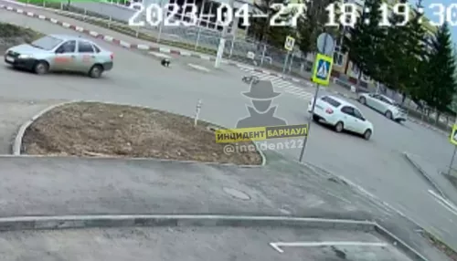 В Новоалтайске ребенка с велосипедом сбил автомобиль на скорости