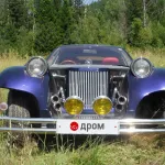 В Алтайском крае продают уникальный автомобиль Mitsuoka в цвете хамелеон