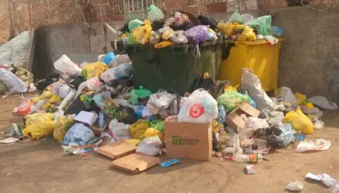 Жители Рубцовска вновь жалуются на мусорную катастрофу в городе