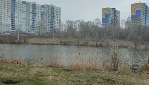 Барнаульцы подозревают бомжей в поедании уток с озера на Гущина