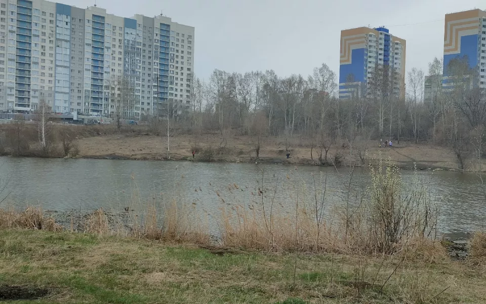 Барнаульцы подозревают бомжей в поедании уток с озера на Гущина