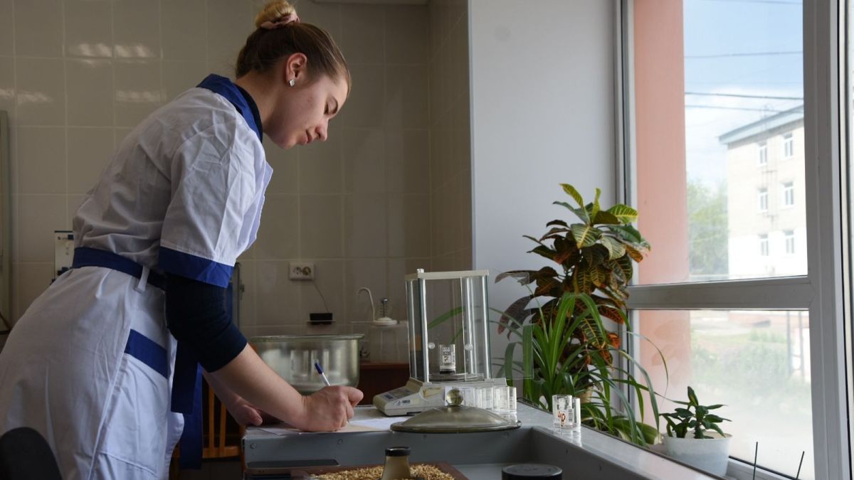 Исследование пищевой ценности зерновых культур