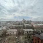 В центре Барнаула за 30 млн рублей продают квартиру в серых тонах