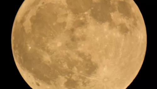 В Барнауле сделали восхитительные кадры полутеневого затмения Луны