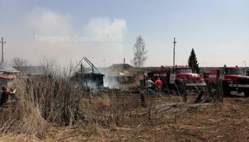 В Алтайском крае горят дома из-за пала сухой травы
