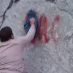 На Алтае очередных туристов застукали за наскальной живописью