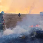 Высокая пожароопасность сохранится в Алтайском крае до 8 мая