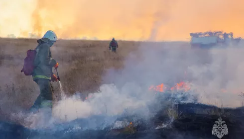 В Алтайском крае произошло 166 пожаров за сутки