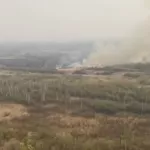 Уже сутки горит: очевидцы сообщили о пожаре в пригороде Барнаула
