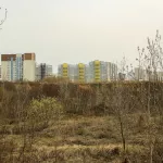 Зеленая дюжина. В Барнауле разрабатывают концепции парка за ТРЦ Европа