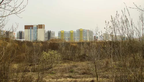 Зеленая дюжина. В Барнауле разрабатывают концепции парка за ТРЦ Европа