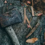 Жителям Республики Алтай дали условные сроки за кражу более тысячи елок