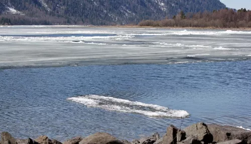 Как меняется природа Алтая с приходом потепления. Фото