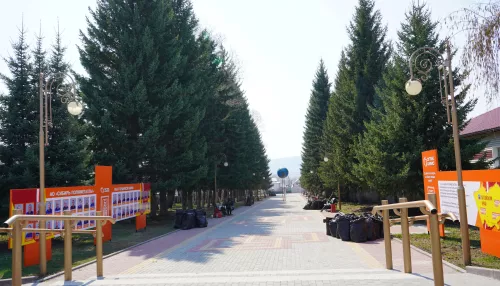 Сотрудники Сибирь-Полиметаллы провели субботник в Змеиногорске