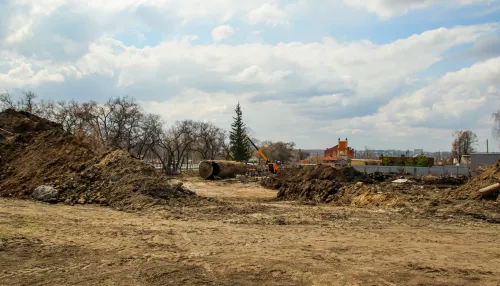 Елки в дело. Строительство развязки в Барнауле обойдется без зеленых жертв