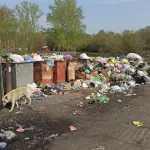 Жители бийского поселка жалуются, что мусор не вывозят уже вторую неделю