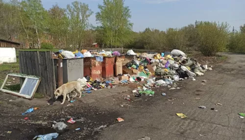 Жители бийского поселка жалуются, что мусор не вывозят уже вторую неделю