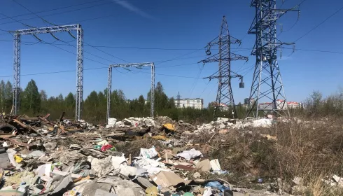 В Барнауле нашли огромную свалку бытового и строительного мусора