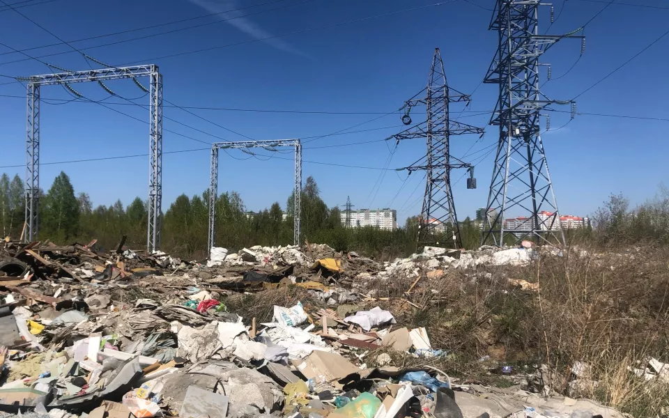 В Барнауле нашли огромную свалку бытового и строительного мусора